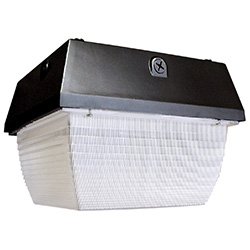 TL401 Series Small, Square Canopy, MH, 50-70W