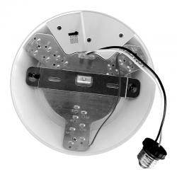 DDX Series Surface Mount LED Downlight