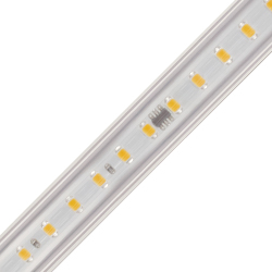 RFX Series Single Color Indoor LED Ribbon Flex