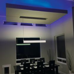 RFX Series Single Color Indoor LED Ribbon Flex